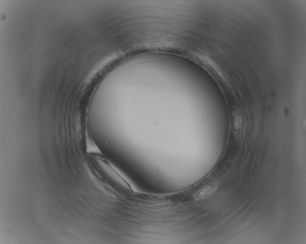 X0000067910684200604271918