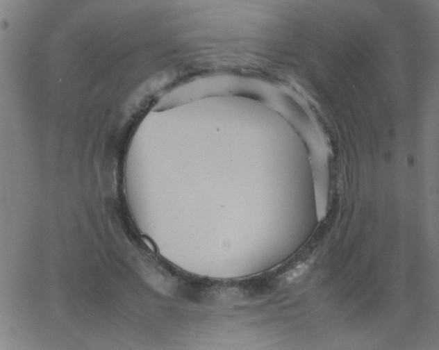 X0000067910685200604271918