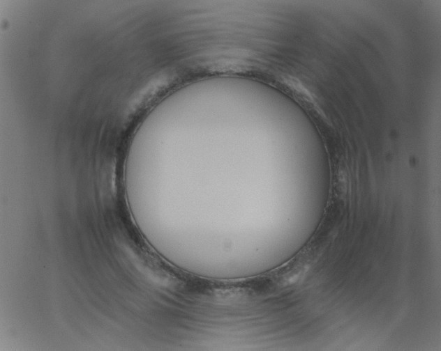 X0000067910686200604271918