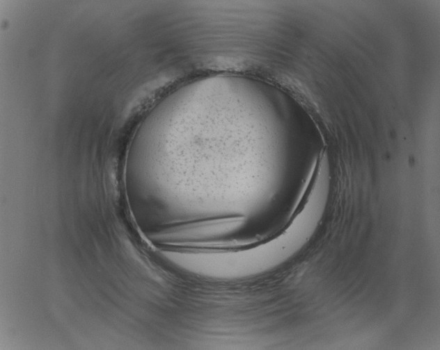 X0000067910688200604271918