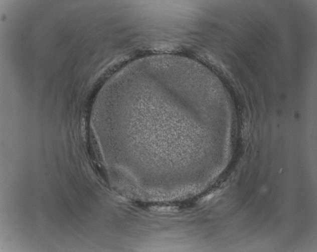 X0000067910689200604271918