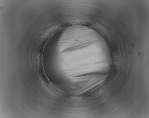 X0000067910690200604271918