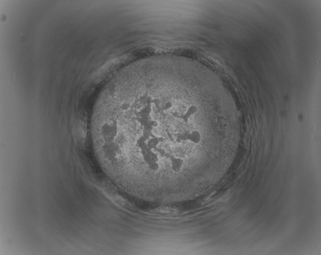 X0000067910691200604271918