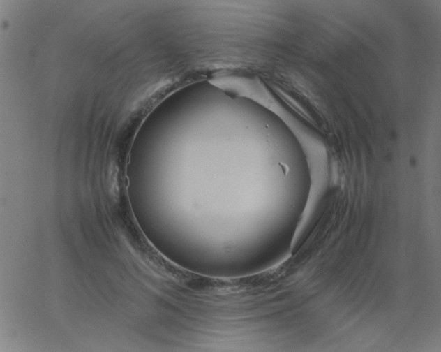 X0000067910692200604271918