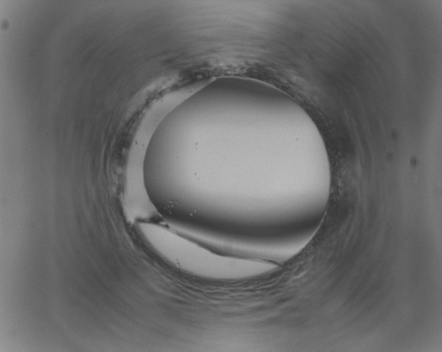 X0000067910693200604271918