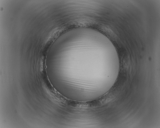 X0000067910694200604271918