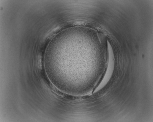 X0000067910696200604271918