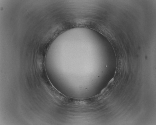 X0000067910698200604271918