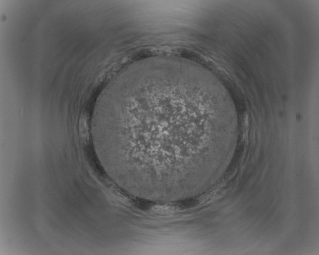 X0000067910699200604271918