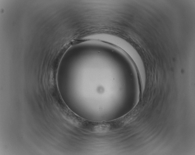 X0000067910700200604271918