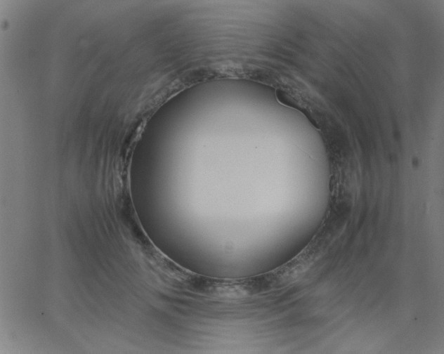 X0000067910702200604271918