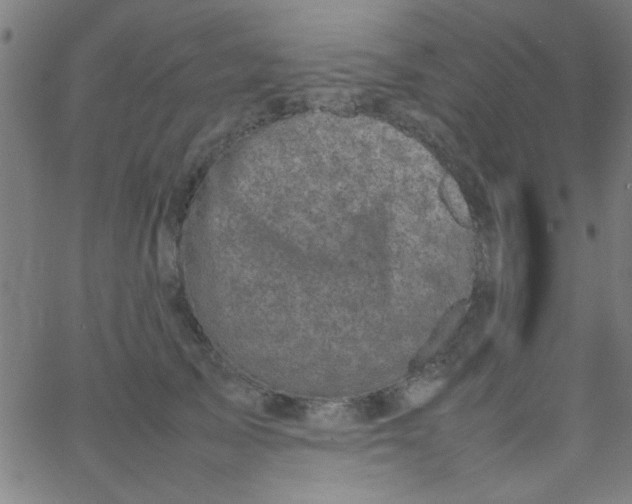 X0000067910705200604271918