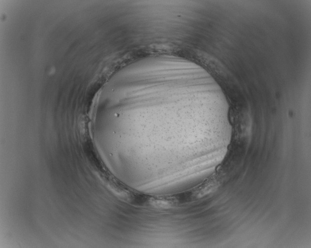 X0000067910706200604271918