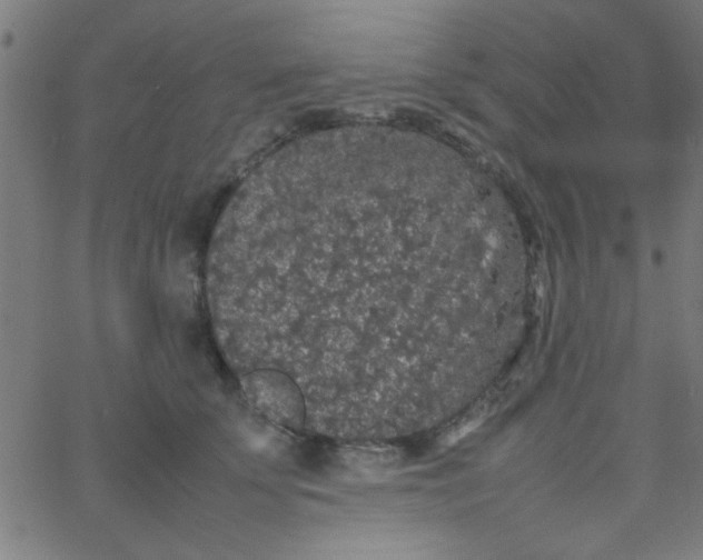 X0000067910707200604271918