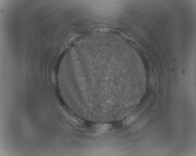 X0000067910711200604271918