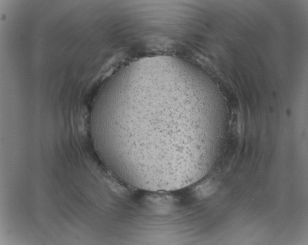 X0000067910712200604271918