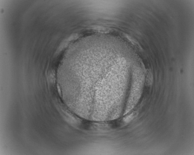 X0000067910713200604271918