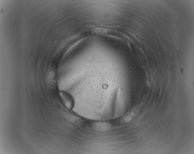 X0000067910714200604271918