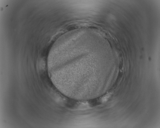 X0000067910715200604271918