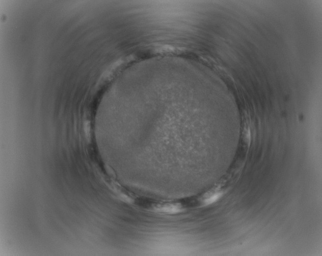 X0000067910716200604271918