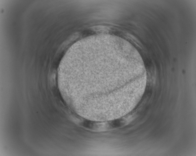 X0000067910717200604271918