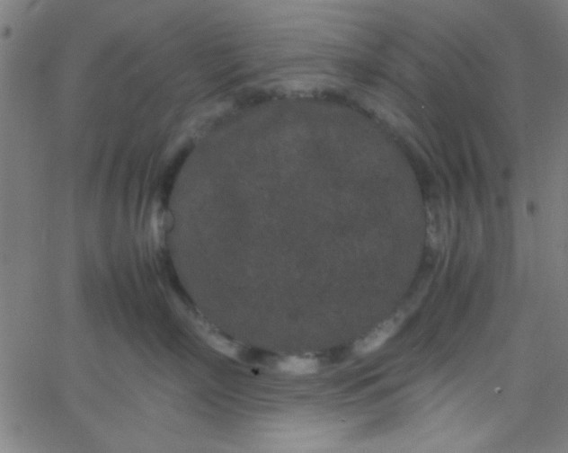 X0000067910718200604271918