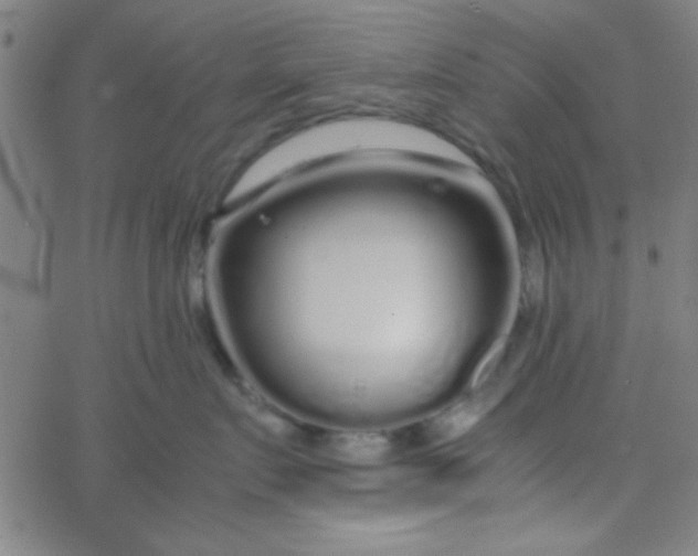 X0000067910719200604271918