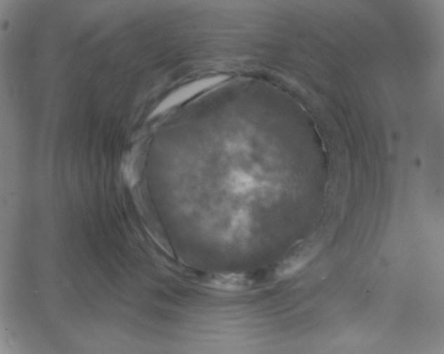 X0000067910720200604271918