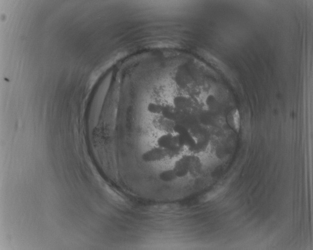 X0000067910721200604271917