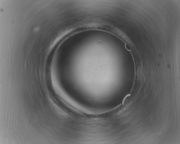 X0000067910722200604271917