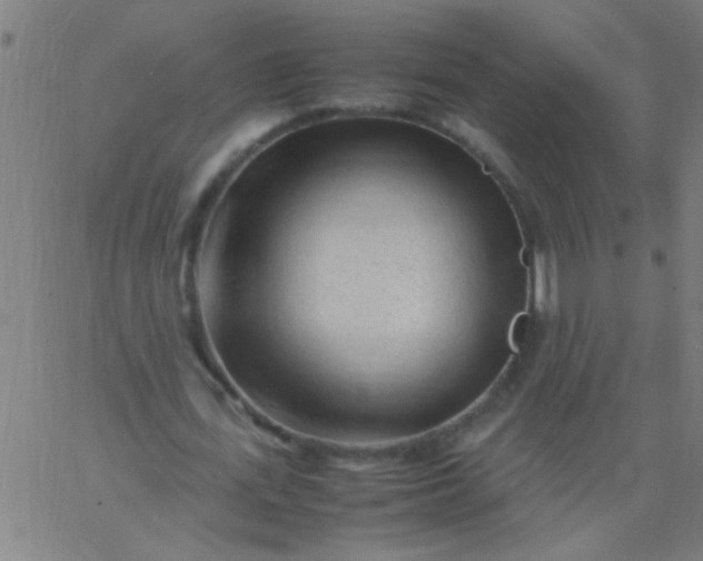 X0000067910723200604271917