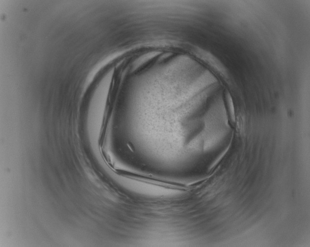 X0000067910724200604271917