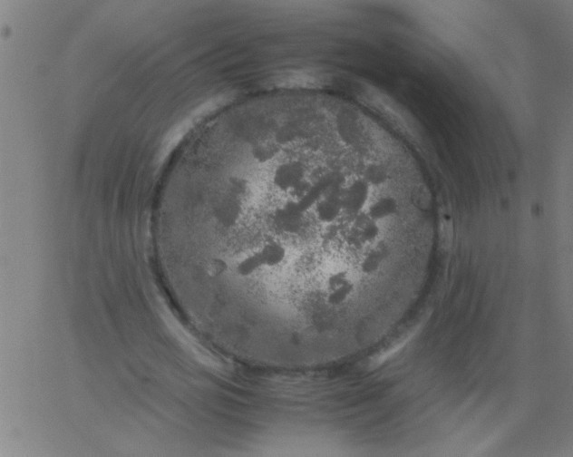 X0000067910725200604271917