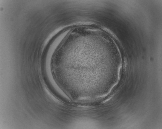 X0000067910726200604271917