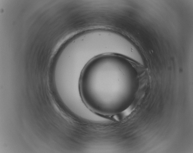 X0000067910728200604271917