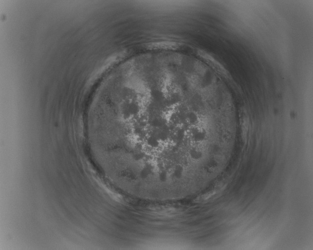 X0000067910729200604271917