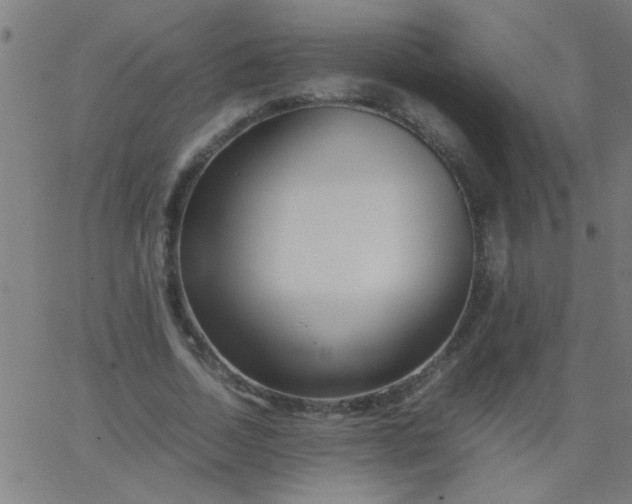 X0000067910730200604271917