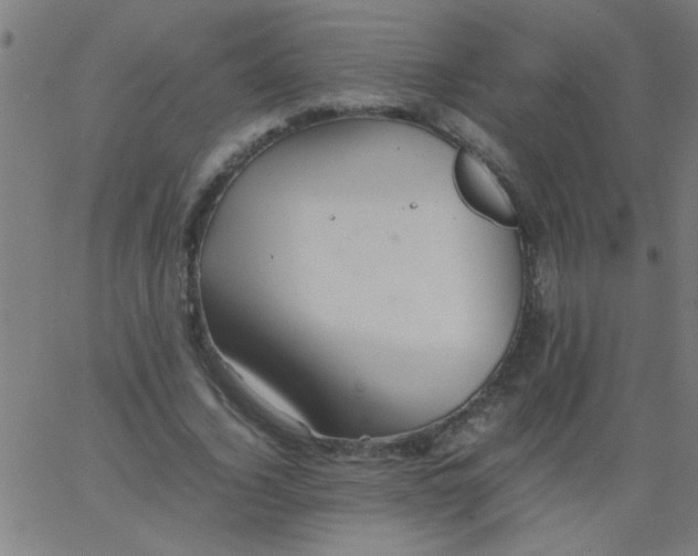 X0000067910732200604271917