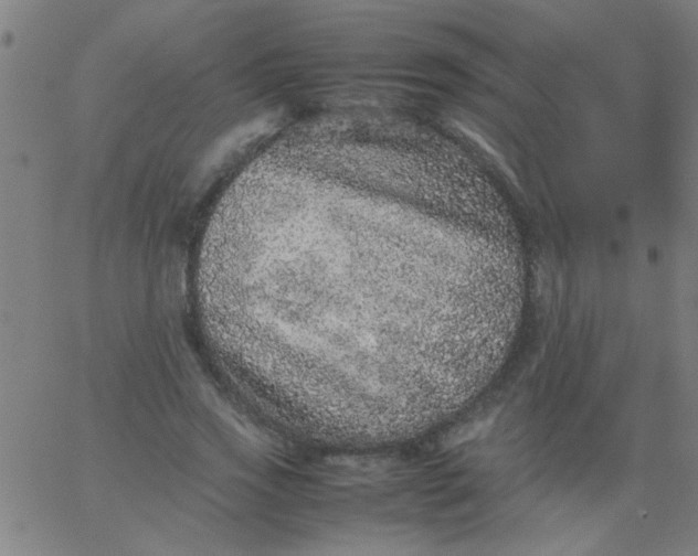 X0000067910733200604271917