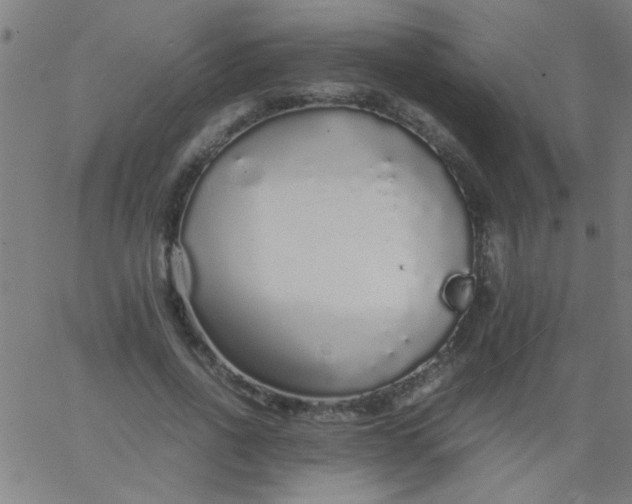 X0000067910734200604271917