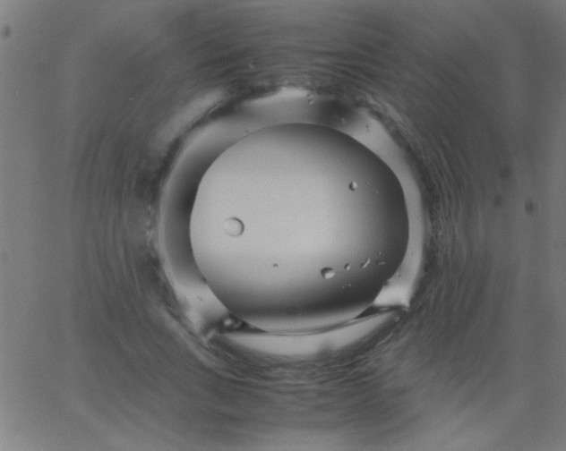 X0000067910735200604271917