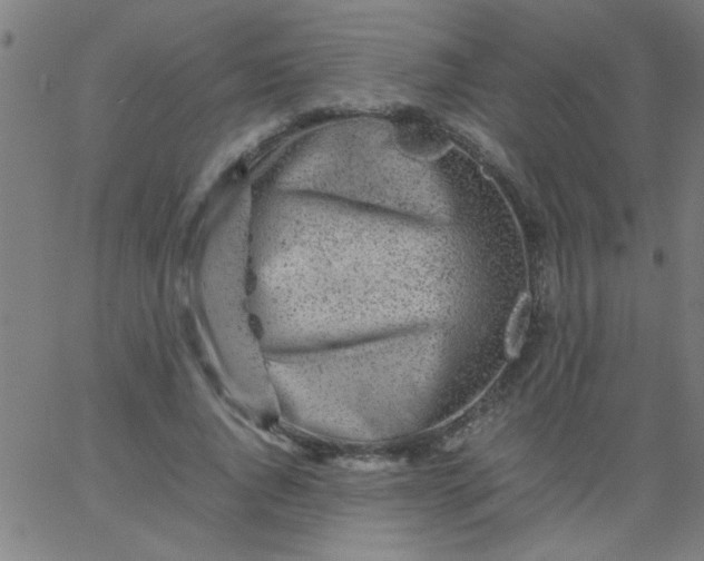 X0000067910736200604271917