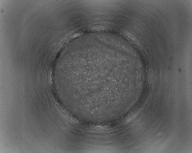 X0000067910737200604271917