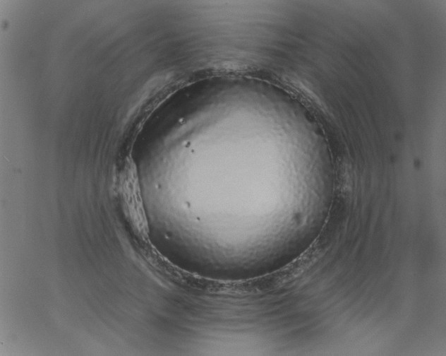 X0000067910738200604271917