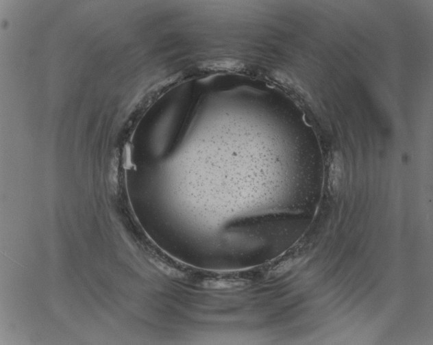 X0000067910739200604271917