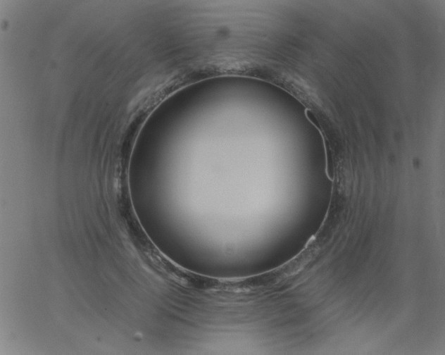 X0000067910740200604271917