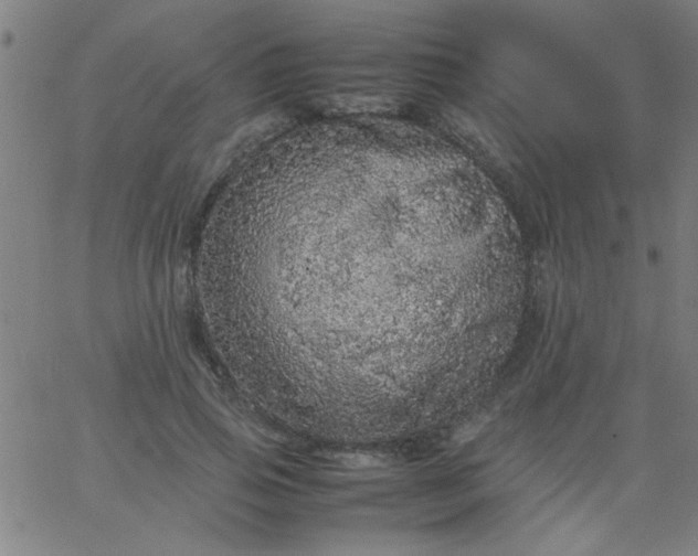 X0000067910741200604271917