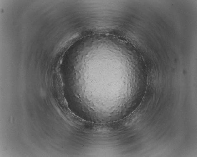 X0000067910742200604271917