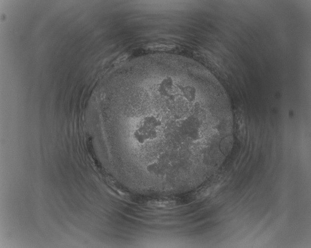 X0000067910745200604271917