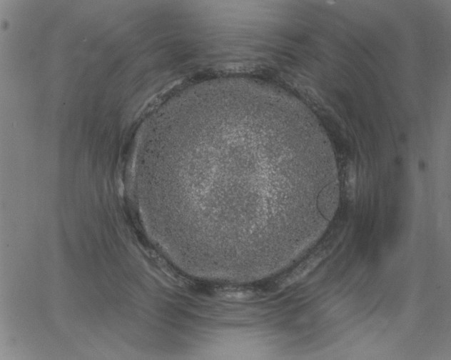 X0000067910746200604271917